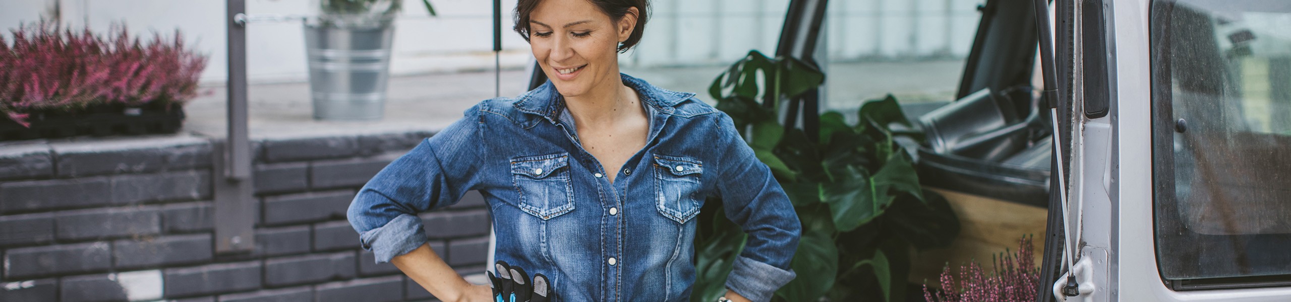 Jumbo image background