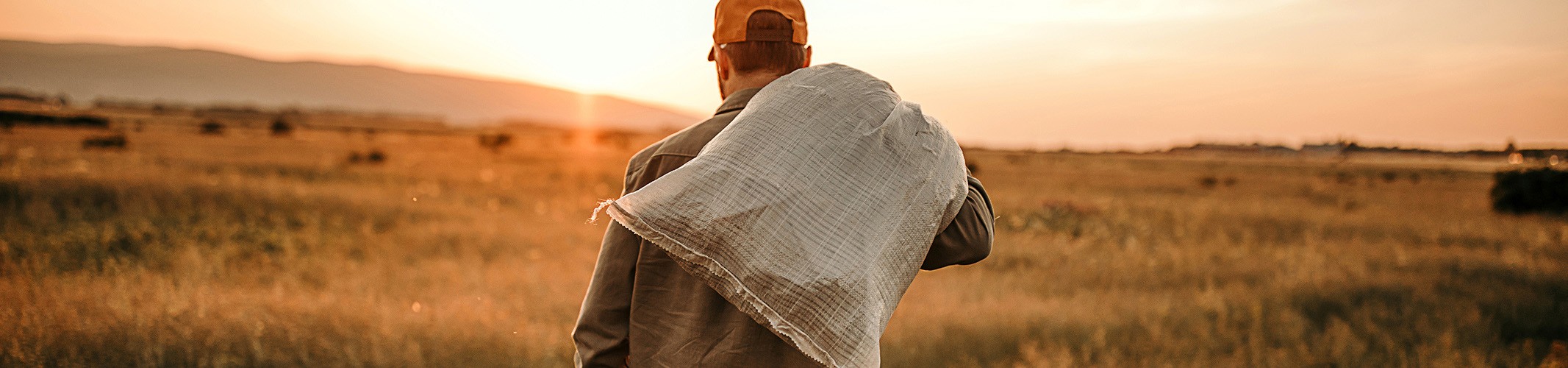 Jumbo image background