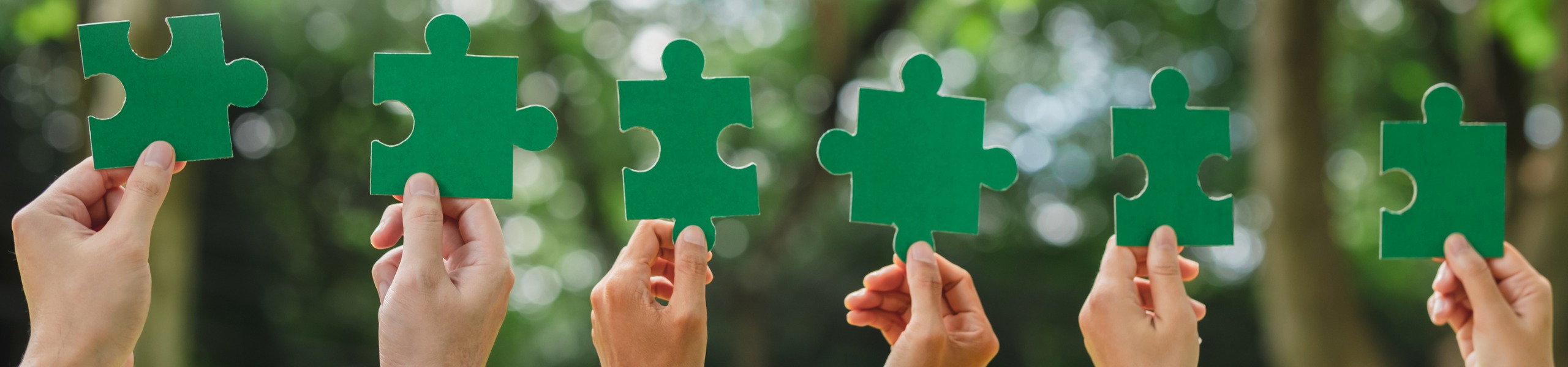 Jumbo image background