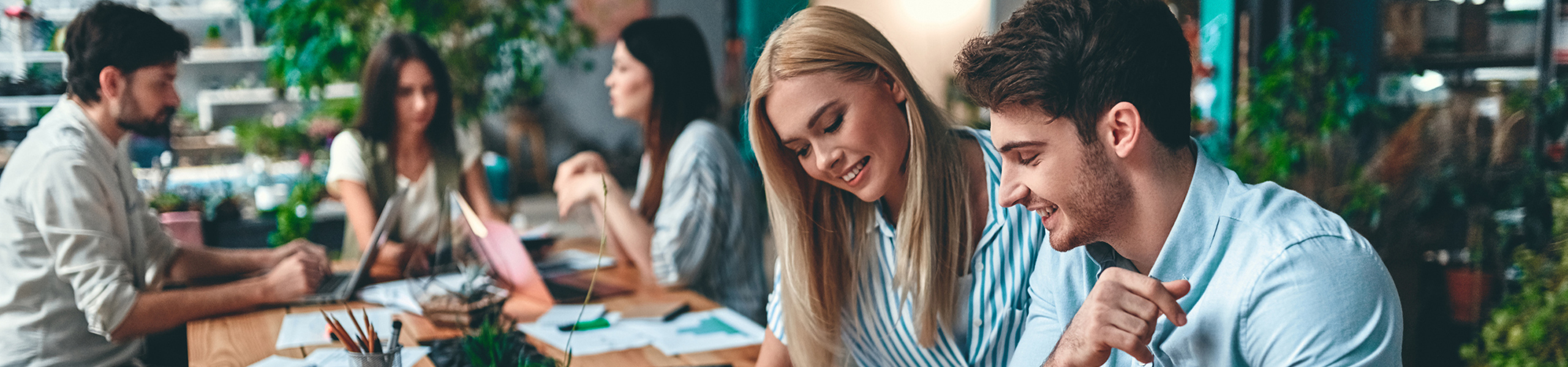 Jumbo image background