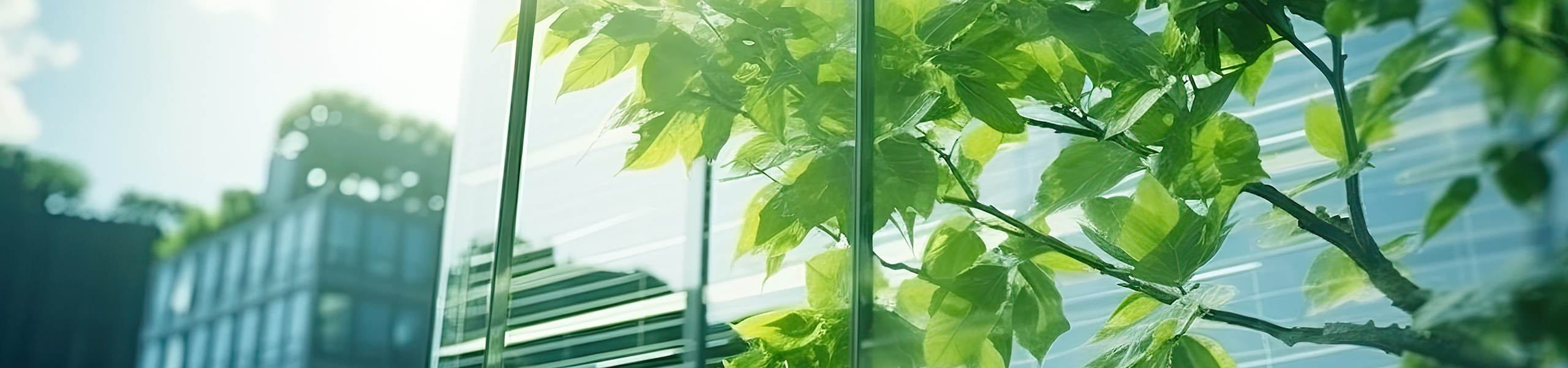 Jumbo image background