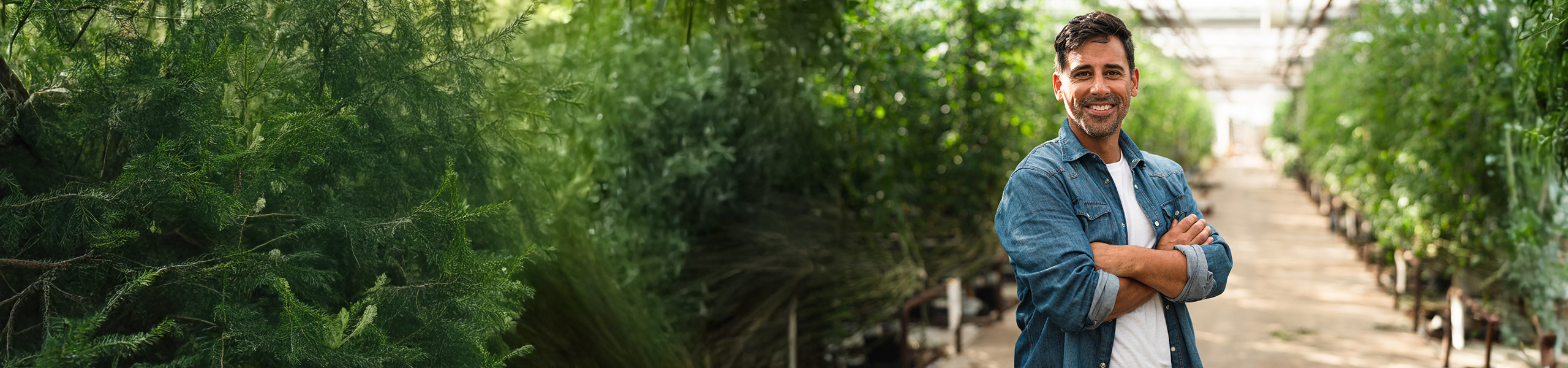 Jumbo image background