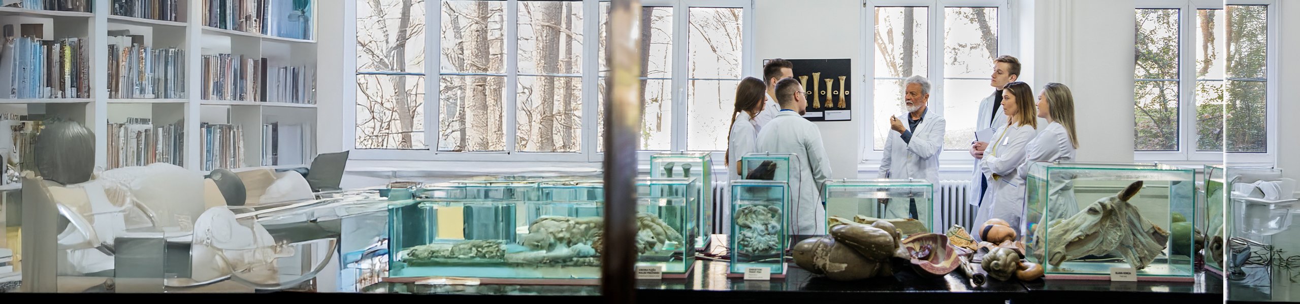 Jumbo image background