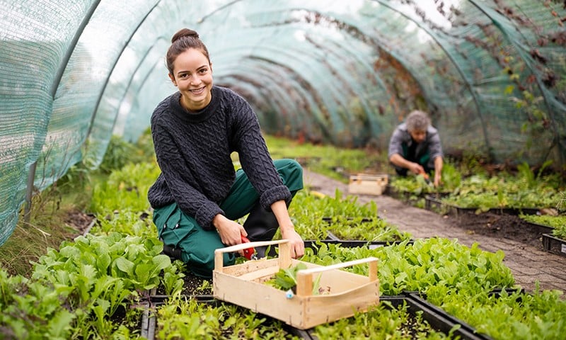 ESIF EAFRD Greece Επιχειρηματική Χρηματοδότηση Αγροτικού Τομέα