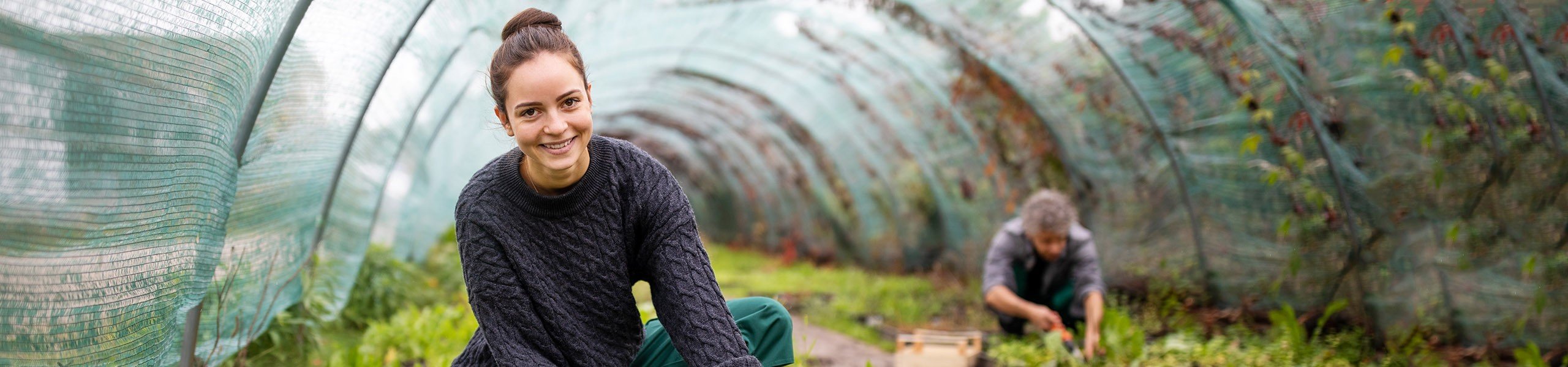 Jumbo image background