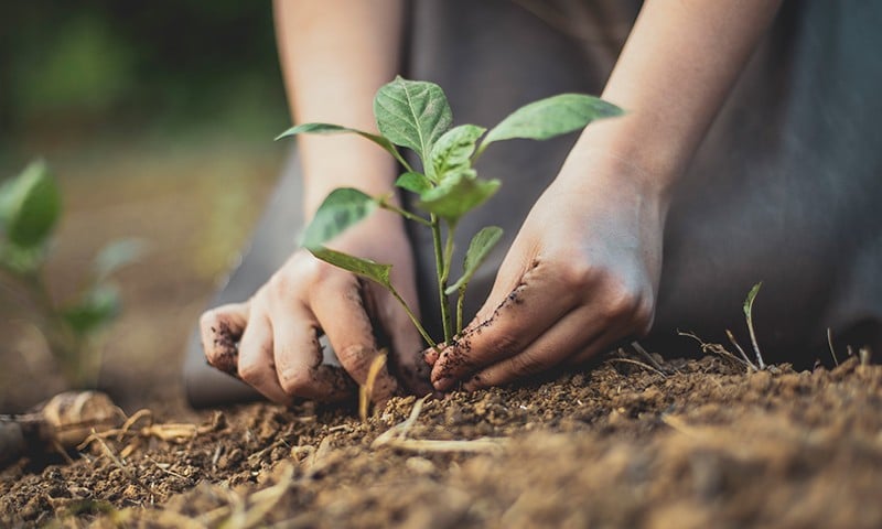Πρόγραμμα Χρηματοδότησης Αγροτών