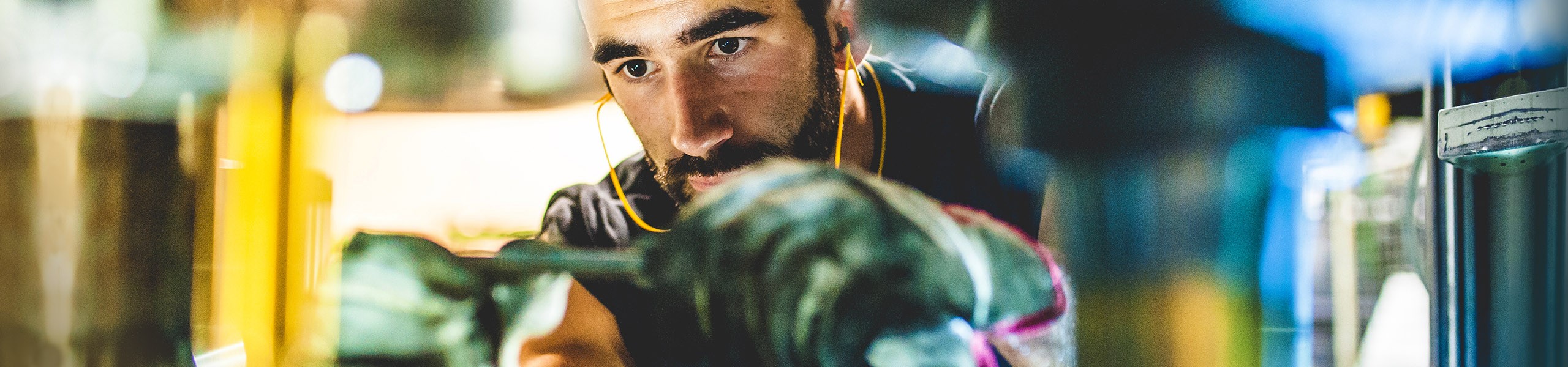 Jumbo image background