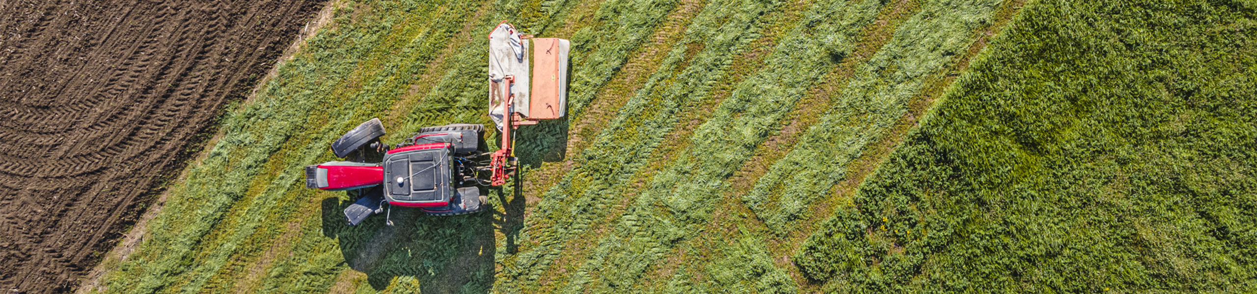 Jumbo image background