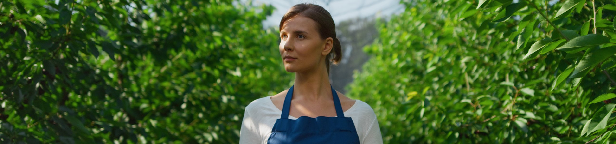 Jumbo image background