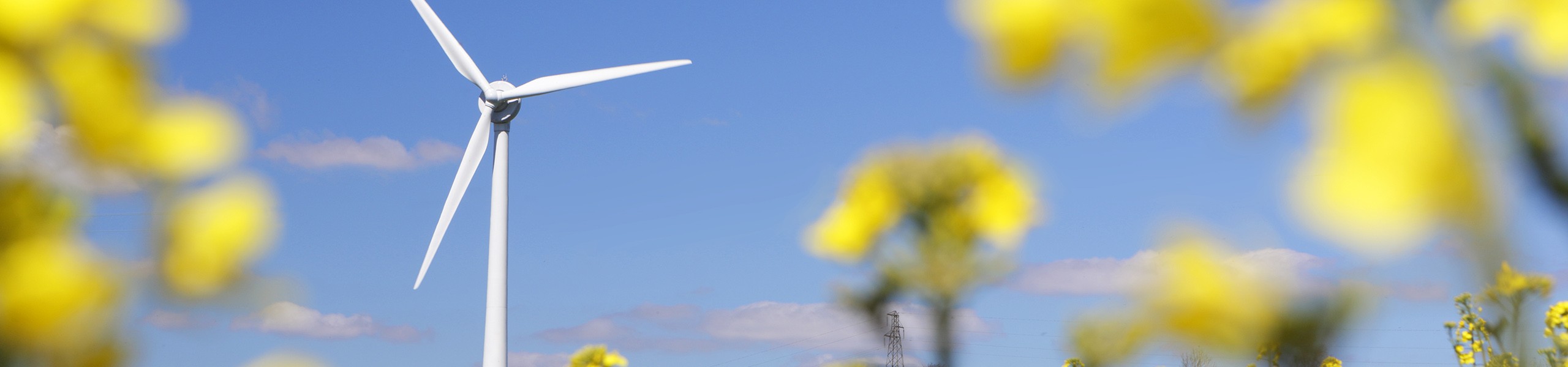 Jumbo image background