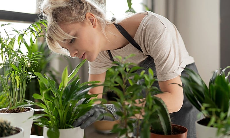 Εφάπαξ κεφάλαιο κίνησης