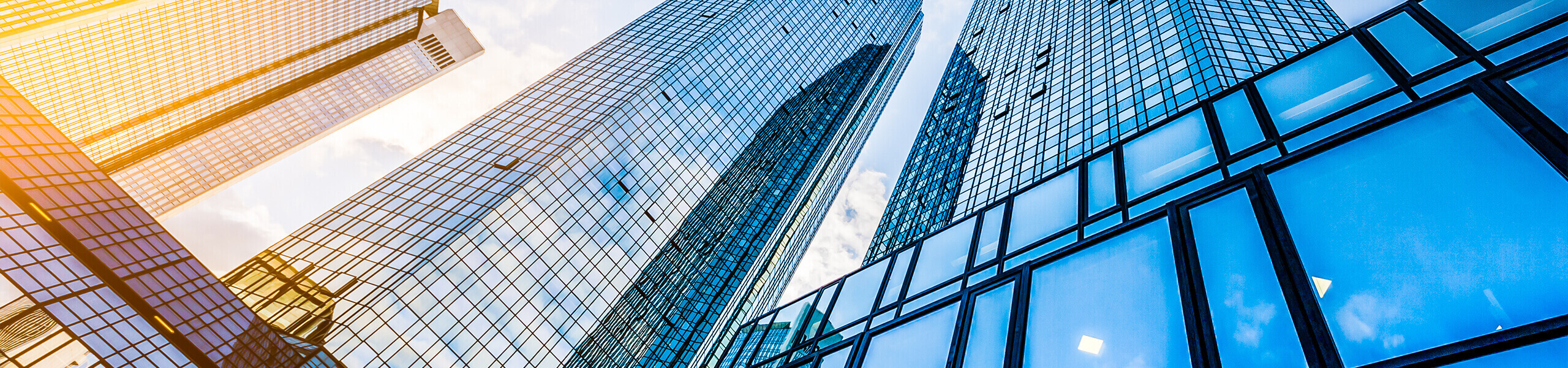 Jumbo image background