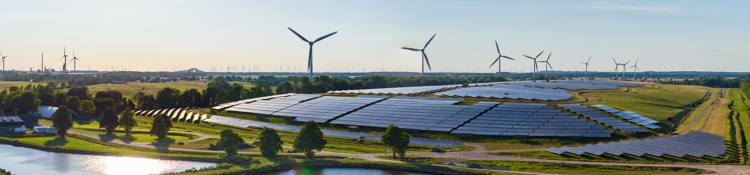 Jumbo image background