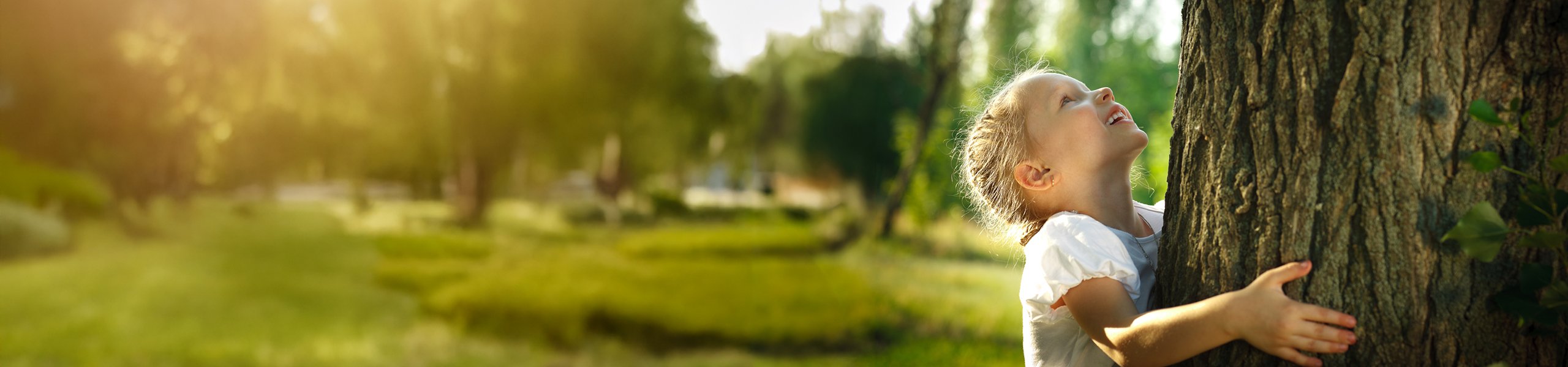 Jumbo image background