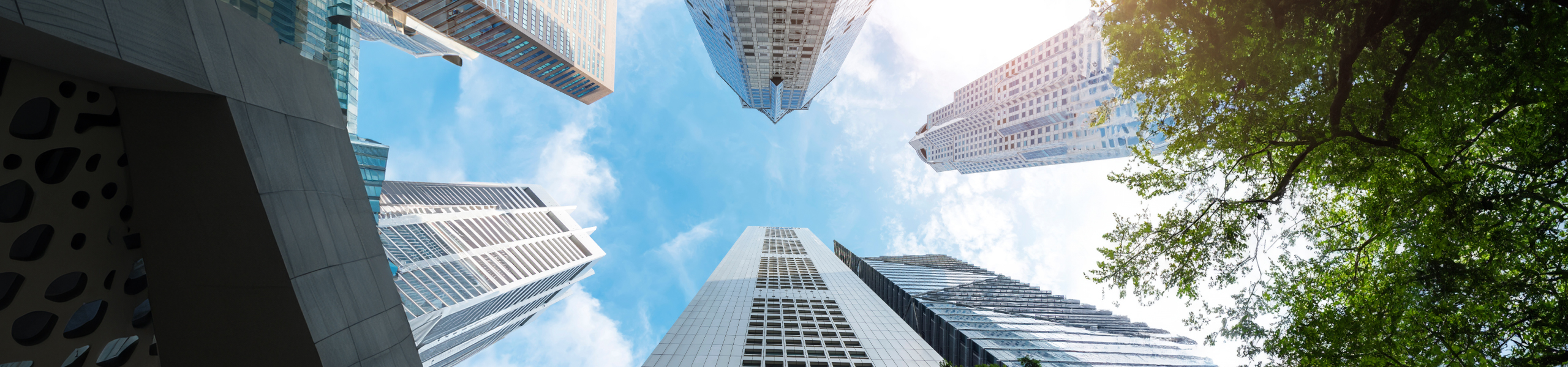 Jumbo image background