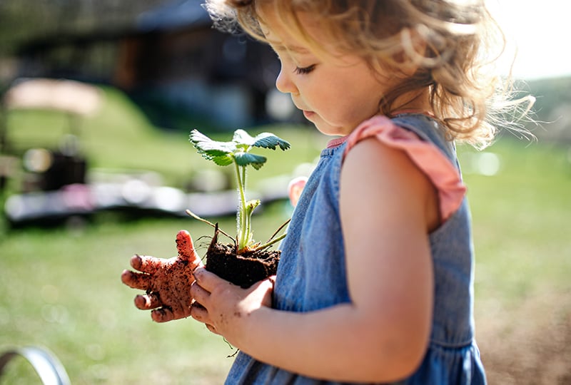 Η Ευθύνη μας