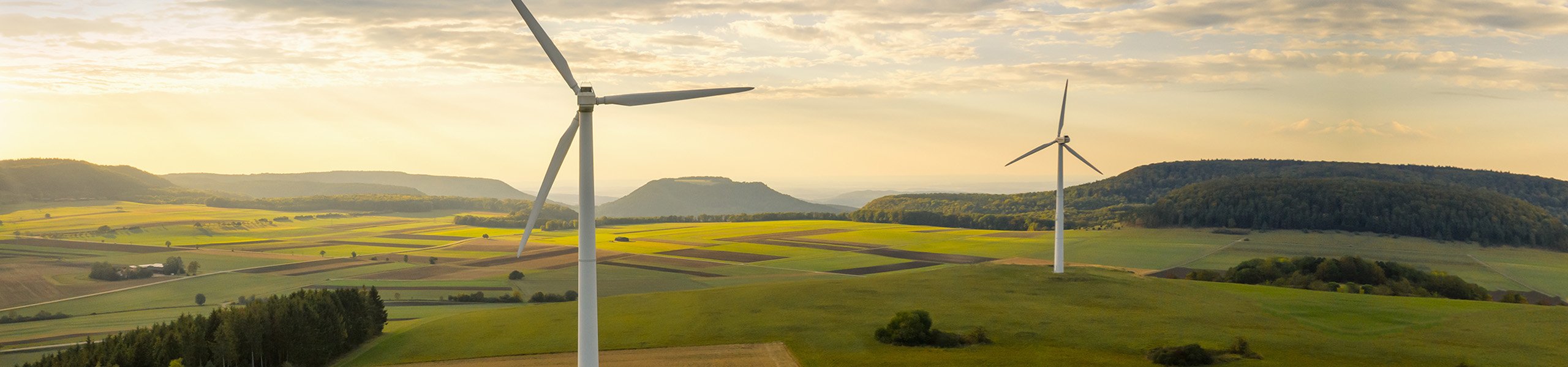 Jumbo image background