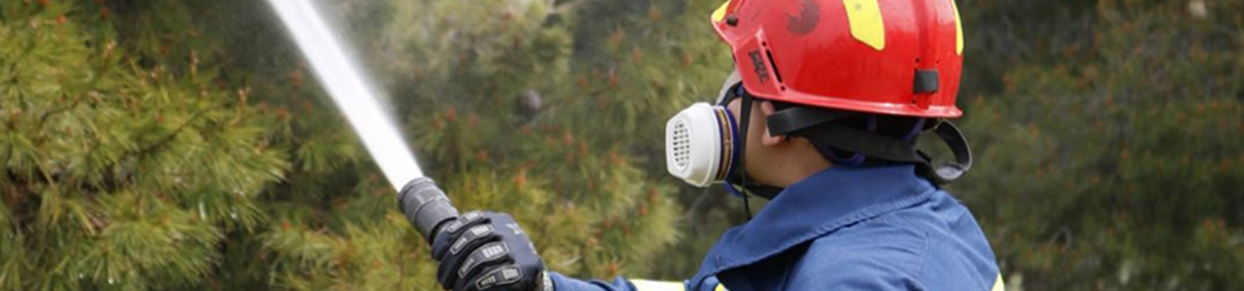 Jumbo image background