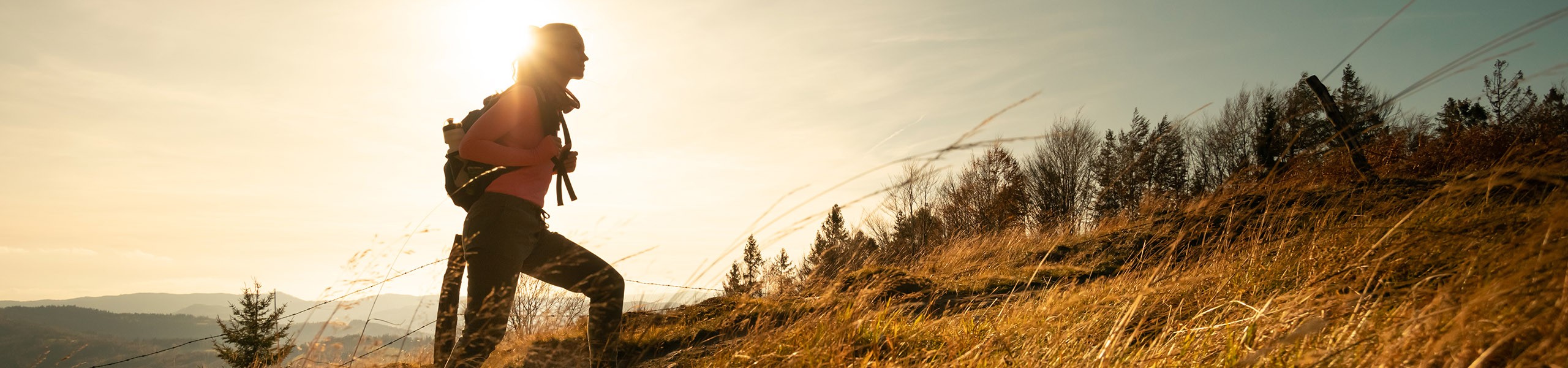 Jumbo image background