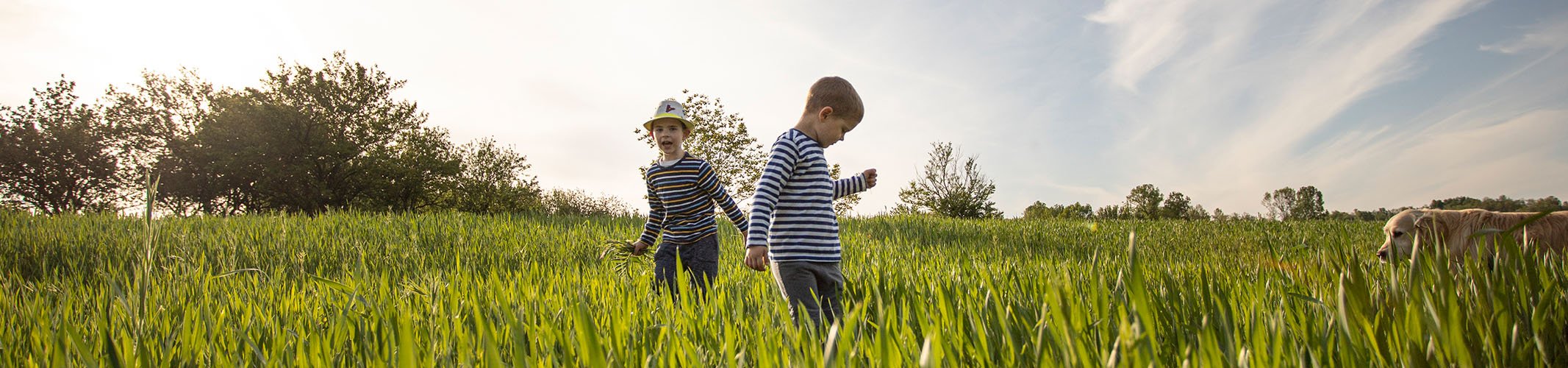 Jumbo image background