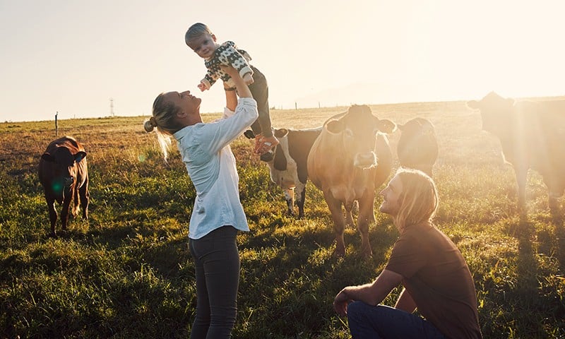 ΟΣΕΚΑ τρίτων παρόχων αλλοδαπής