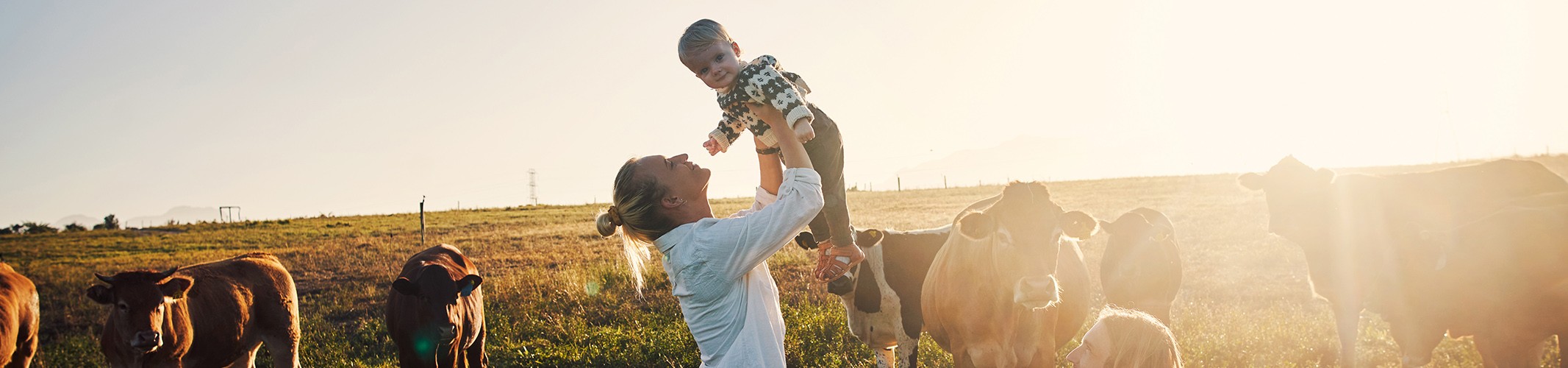 Jumbo image background