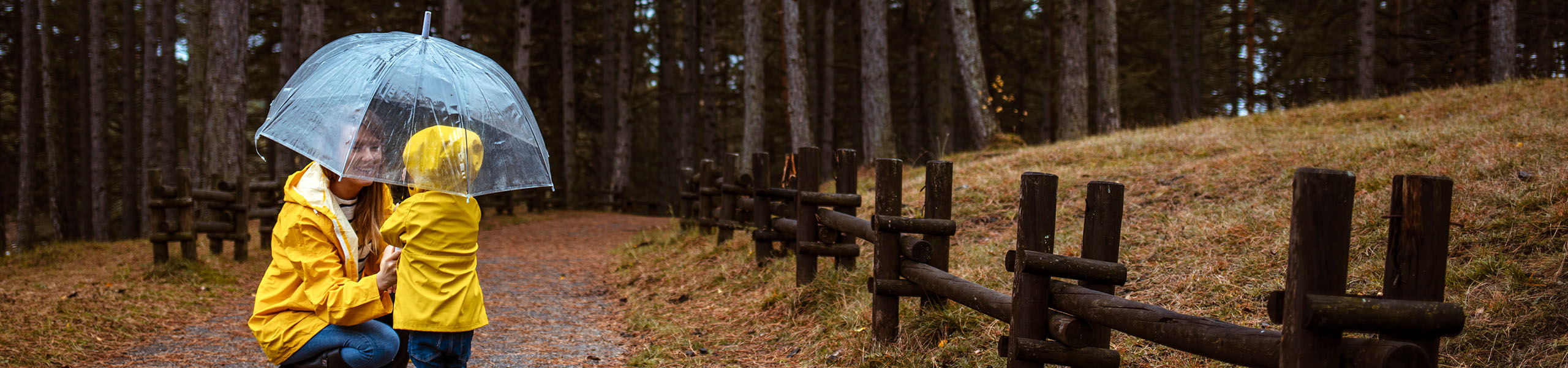 Jumbo image background