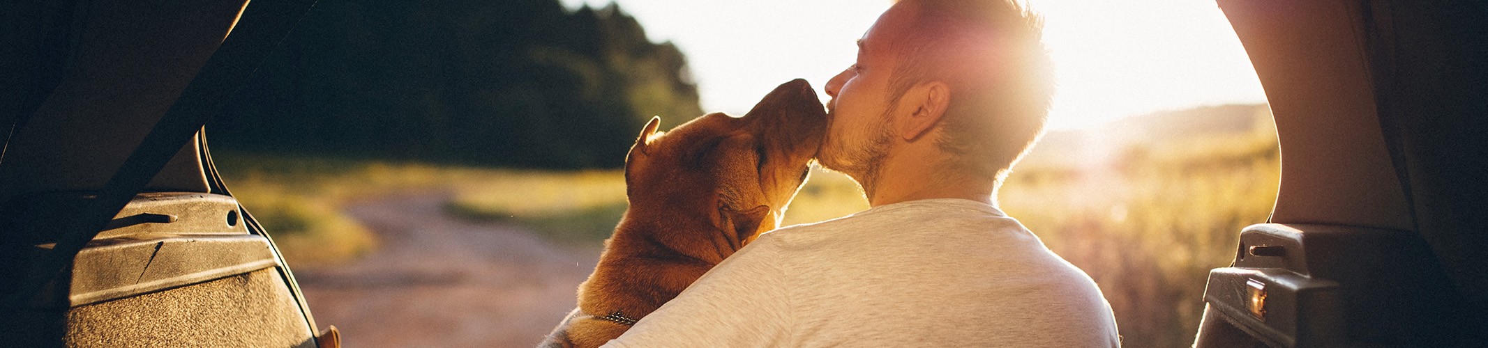 Jumbo image background