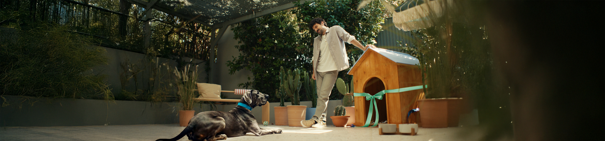 Jumbo image background