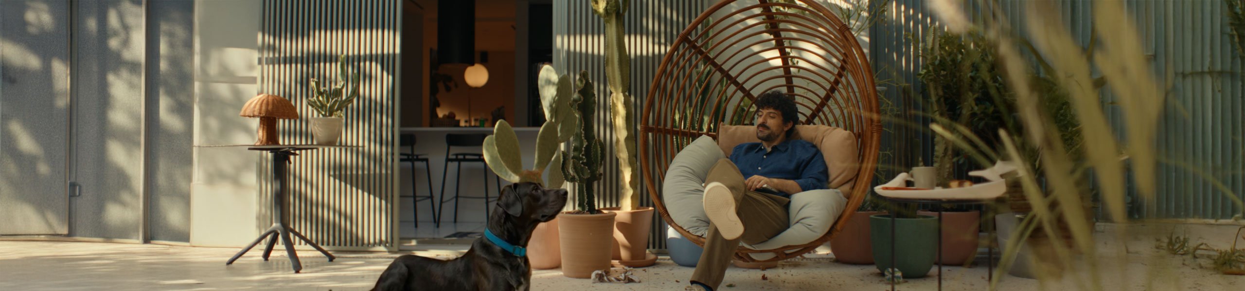 Jumbo image background