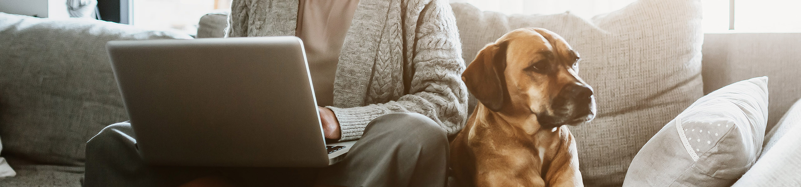 Jumbo image background