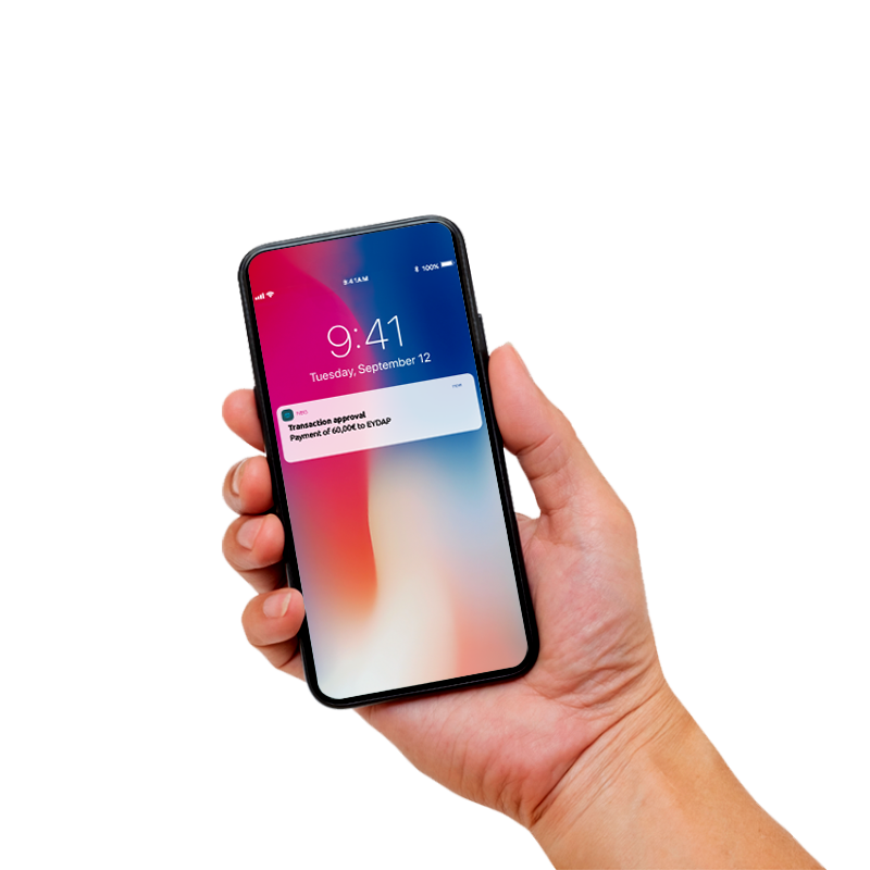 Transactions approval at Digital Banking NBG