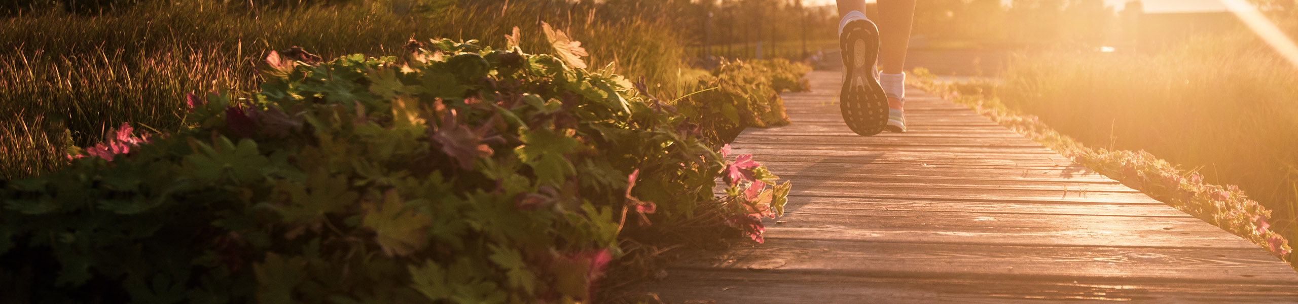 Jumbo image background