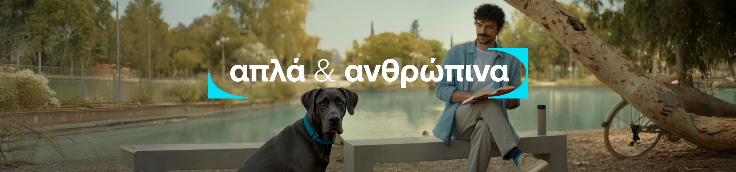 Jumbo image background