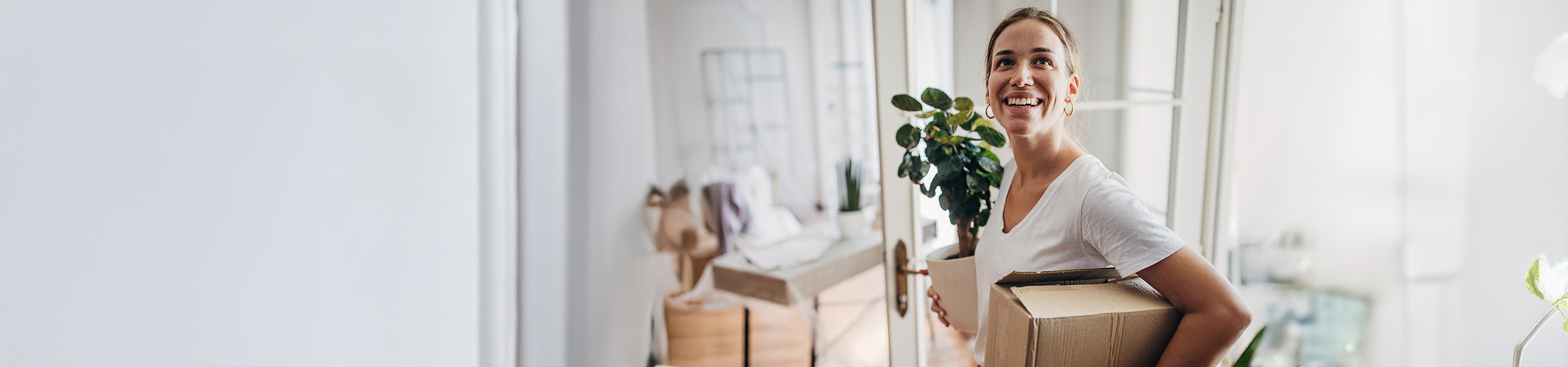 Jumbo image background