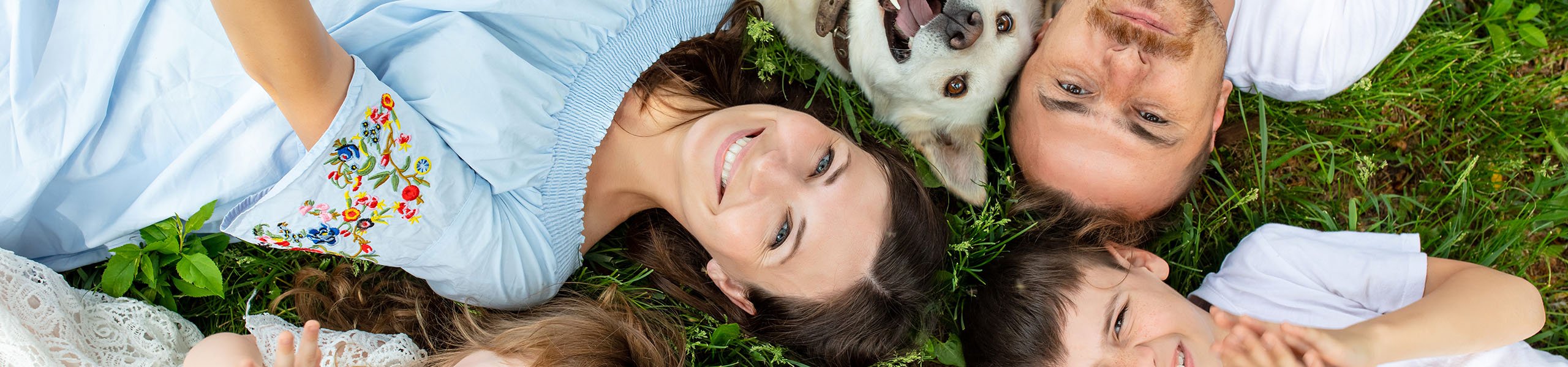 Jumbo image background